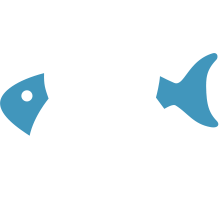 ic_teami_03
